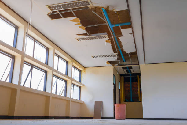 Best Carpet water damage restoration  in Richmond Hill, GA