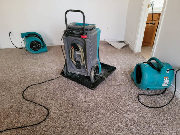 Best Water damage cleanup near me  in Richmond Hill, GA
