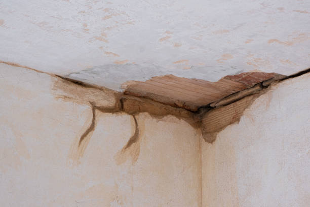 Best Commercial water damage restoration  in Richmond Hill, GA