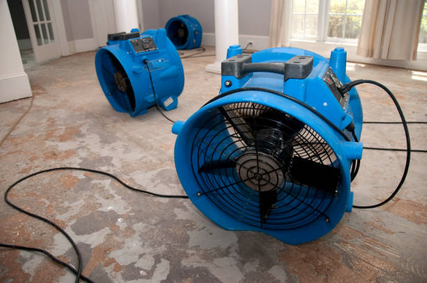 Best Sewage cleanup and water damage restoration  in Richmond Hill, GA