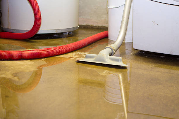 Water damage restoration mold remediation in GA