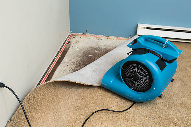 Best Local water damage restoration  in Richmond Hill, GA